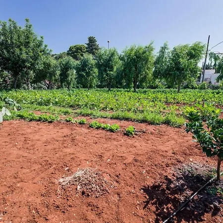 Casal Del Borgo 3 By Interhome * Ostuni